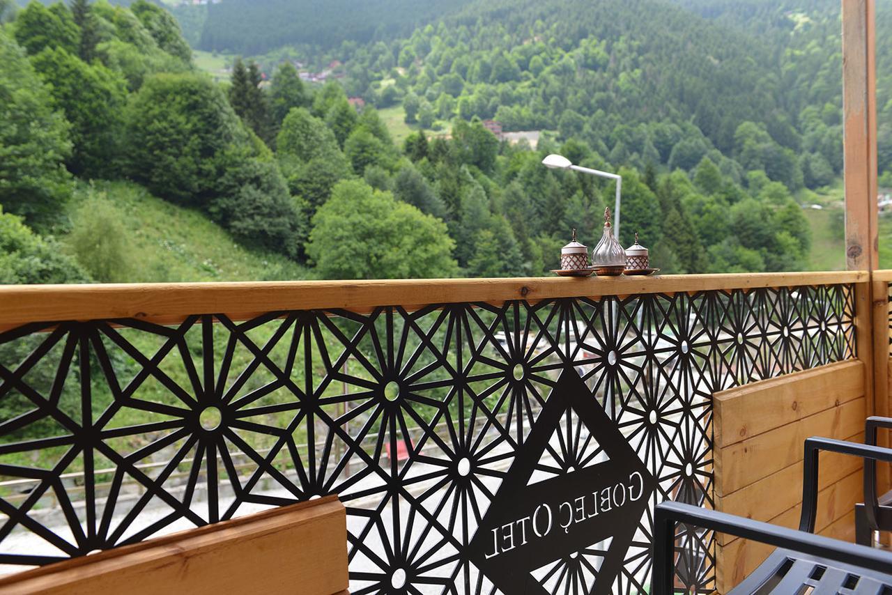Hotel Goblec & 2*